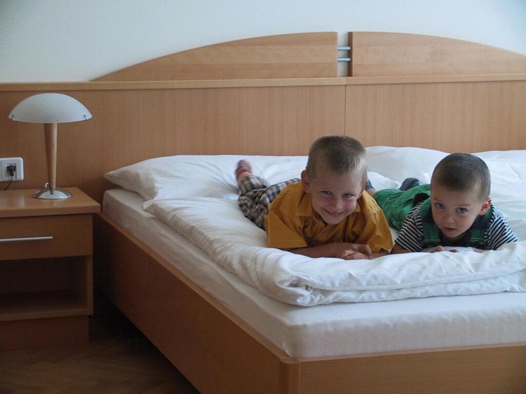 Pension Schlossblick Nebersdorf ห้อง รูปภาพ